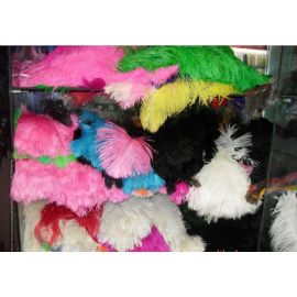 Black Ostrich Feathers 6-8 inches 1000 Pieces