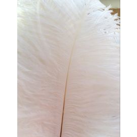 Wholesale!!!  White Ostrich Feathers 6-8 inches 1000 Pieces