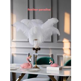 White Ostrich Feathers Male Wing Plumes Large Feathers 24-26 inch 5 Pieces