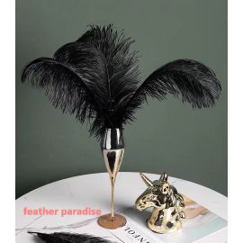 Black Ostrich Feathers-12-14 inch 12 Pieces