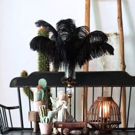 Black Ostrich Feathers/Plumes 14-16 inch 12 Pieces