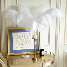 White Ostrich Feathers/Plumes 16-18 inch 50 Pieces