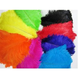 Assorted Colors Ostrich Feathers 8-10inch 12 Pieces