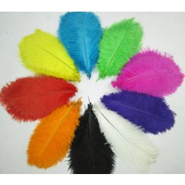 Assorted  Colors  Ostrich Feathers 10-12 inch 12 Pieces