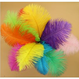 Ostrich Feathers-12-14 inch 5 Pieces Any color in the picture