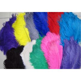 Assorted Colors Ostrich Feathers 14-16 inch 5 Pieces
