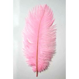 Baby Pink/Candy Pink Ostrich Feathers/plumes 18-20 inch 5 Pieces