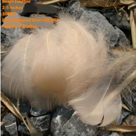 100 Pieces Packed Goose Nagorie Feathers Loose Feather  Feather Fillers Feather Confetti Beige