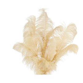 Beige/Champagne Ostrich Feathers 12-14 inch 12 Pieces