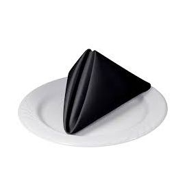 Black Polyester napkin 48cm*48cm