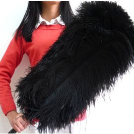 Black Ostrich FeathersMale Ostrich Wing Plumes 24-26 inch 50 Pieces