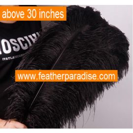 Black Ostrich Feathers Male Ostrich Wing Plumes 28-30 inch 5 Pieces