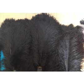 Black Ostrich Feathers/Plumes/ Wings 22-24 inch 5 Pieces