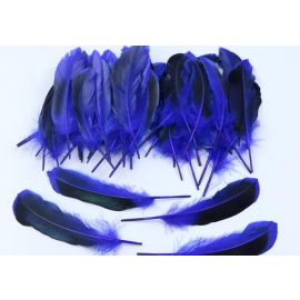 Duck Cosse Feathers Dyed Wild Duck Feathers 100pcs Blue