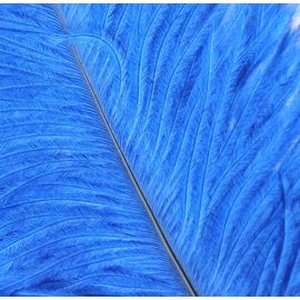 12pcs Royal Blue  25-29 inches Ostrich Wing Plume Large South Africa Ostrich Feathers
