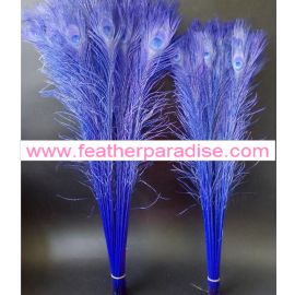 Bleached and Dyed Peacock Eye Feathers 40-45" 12 Pieces - Royal Blue