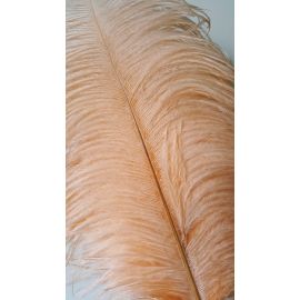 Peach Ostrich Feathers Wedding Centerpieces 10-12 inches 12 Pieces