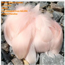 100 Pieces Packed Goose NAGOIRE Feathers Loose Feather  Feather Fillers Feather Confetti Blush Pink