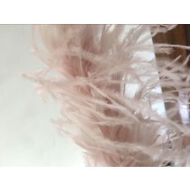 Ostrich Boa Ostrich Trim 1 ply 2 Yards 6 Feet-Blush Pink