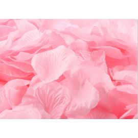 Silk Rose Petals Vase Filler Wedding Decor Table Confetti - Blush Pink 100 pcs