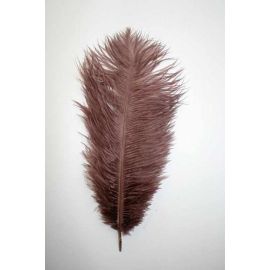 Brown Ostrich Feathers 14-16 inch 12 Pieces
