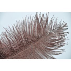 Chocolate Brown Ostrich Feathers/Plumes 18-20 inch 50 Pieces