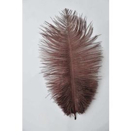 Chocolate Brown Ostrich Feathers 8-10 inch 12 Pieces