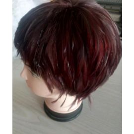 Burgundy Hackle Feather Wig Halloween Costume Wig