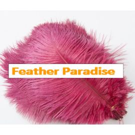 Burgundy Plum Ostrich Feathers 8-10 inch 12 Pieces