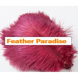 Burgundy Plum Ostrich Feathers 6-8 inch 100 Pieces