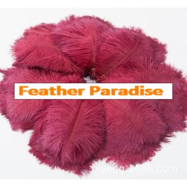 Burgundy Plum Ostrich Feathers 10-12 inch 100 Pieces