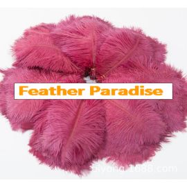 Burgundy Plum Ostrich Feathers 6-8 inch 12 Pieces
