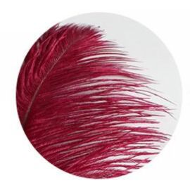 Burgundy Plum Ostrich Feathers 18-20 inch 12 Pieces