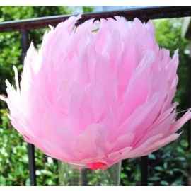 FeatherParadise Candy/Baby Pink Premium Feather Pomander/Feather Balls/Rose Balls/Flower Balls/ Ornaments/ 16 Inch