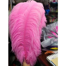 Pink Ostrich Feathers/Plumes 28-30 inch 50 Pieces