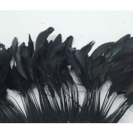 100pcs 6-8 inches Stripped Dyed Coque Rooster Feathers Black (GA, USA)