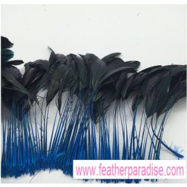 100pcs 6-8 inches Stripped Dyed Coque Rooster FeathersTurquoise (GA, USA)
