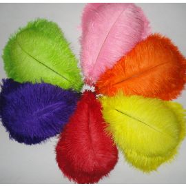 Assorted  Colors  Ostrich Feathers 12-14 inch 12 Pieces