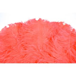 Coral/ Peach  Ostrich Feathers Plumes 14-16 inch 12 Pieces