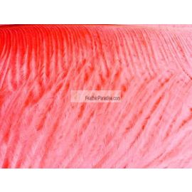 Coral/Peach Ostrich Feathers 10-12 inch 12 Pieces