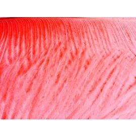 Coral Ostrich Feathers 12-14 inch 12 Pieces