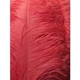 Coral/Peach Ostrich Feathers Plumes 22-24 inch 12 Pieces