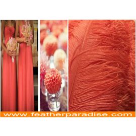Coral/Peach  Ostrich Feathers Plumes 22-24 inches  5 Pieces