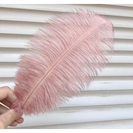 12-14 inches Blush pink Ostrich Feathe Ostrich Plume Feathers 100 pcs  Popular color!!!