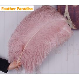 22-24 inches Blush Pink Ostrich Feather Large Male Ostrich Plume Feathers 50pcs  Popular color!!!