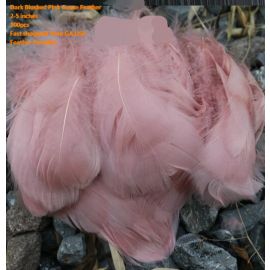 100 Pieces Packed Loose Goose Nagorie Feather  Feather Fillers Feather Confetti Dark Blush Pink