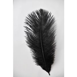 Sale!!!Black Ostrich Feathers 8-10 inch 100 Pieces