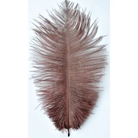 Chocolate Brown Ostrich Feathers/plumes 18-20 inch 5 Pieces
