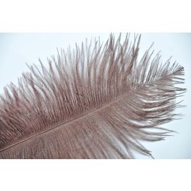 Chocolate Brown Ostrich Feathers 14-16 inch 12 Pieces
