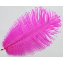 Fuchsia Magenta Ostrich Feathers 14-16 inch 50 Pieces